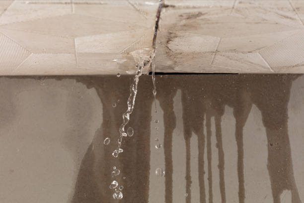 Professional Commercial Water Damage Restoration technician working in Little Mountain, SC